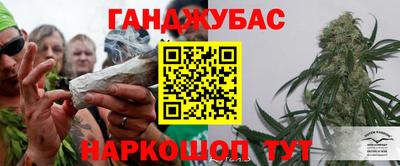 сатива Будённовск