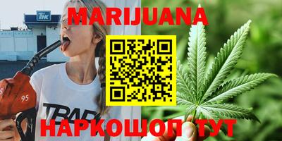 сатива Будённовск