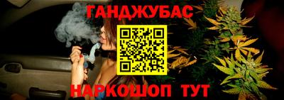 сатива Будённовск