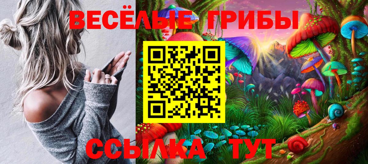 Псилоцибиновые грибы прущие грибы Сатка