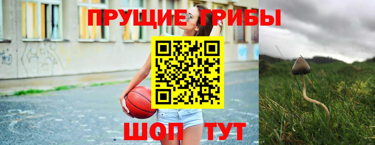 Псилоцибиновые грибы Psilocybine cubensis  Вход с VPN  Псилоцибиновые грибы Magic Shrooms  Сатка 
